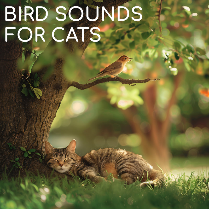 Relaxing and entertaining birdsong for your cat. Help your kitty feel like they are back in nature with hours of beautiful singing birds. Purrr....