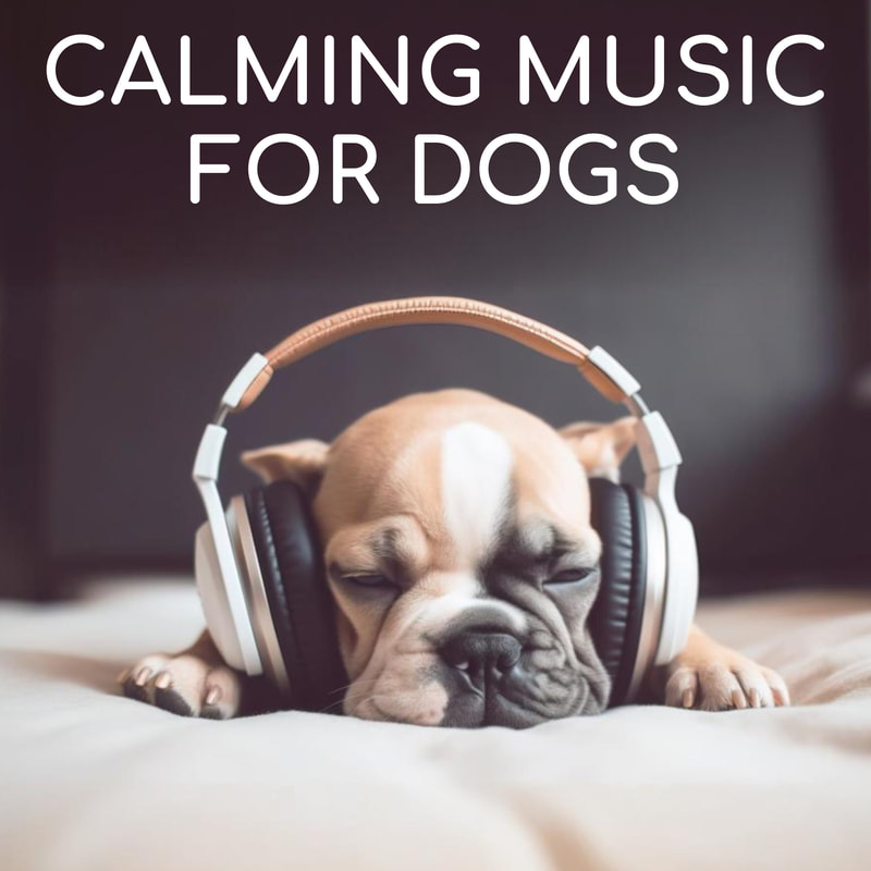 Soothing instrumental ambient music to put your pup in a calm state to ease anxiety when you are gone. Great for winding down when it is bedtime, too!