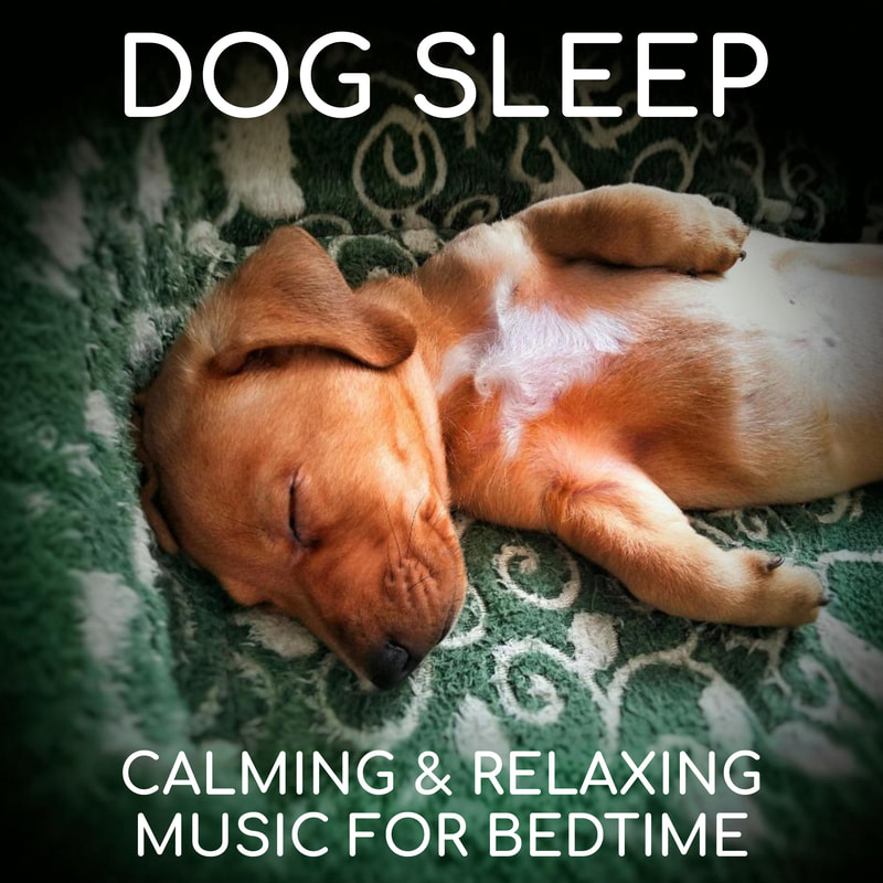 Soothing instrumental ambient music to help calm your dog or puppy and help them get a good night’s sleep…all night long. A rested pup is a happy pup!