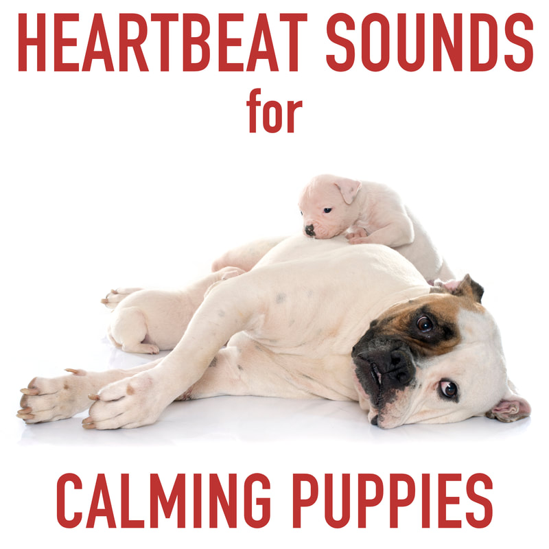 Puppies get anxious and lonely when they are separated from thier mothers. Use this playlist to calm your new puppy by introducing the comforting, familiar sound of their mother's heartbeat to reduce anxiety and whining at night. So everyone can get some sleep!