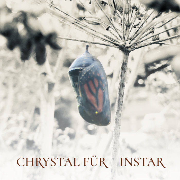 Instar by Chrystal Für is a soundscape that encourages you slow down and take notice of the things that pass by unnoticed. A cradle for your thoughts and feelings. The soundtrack to your daily life.