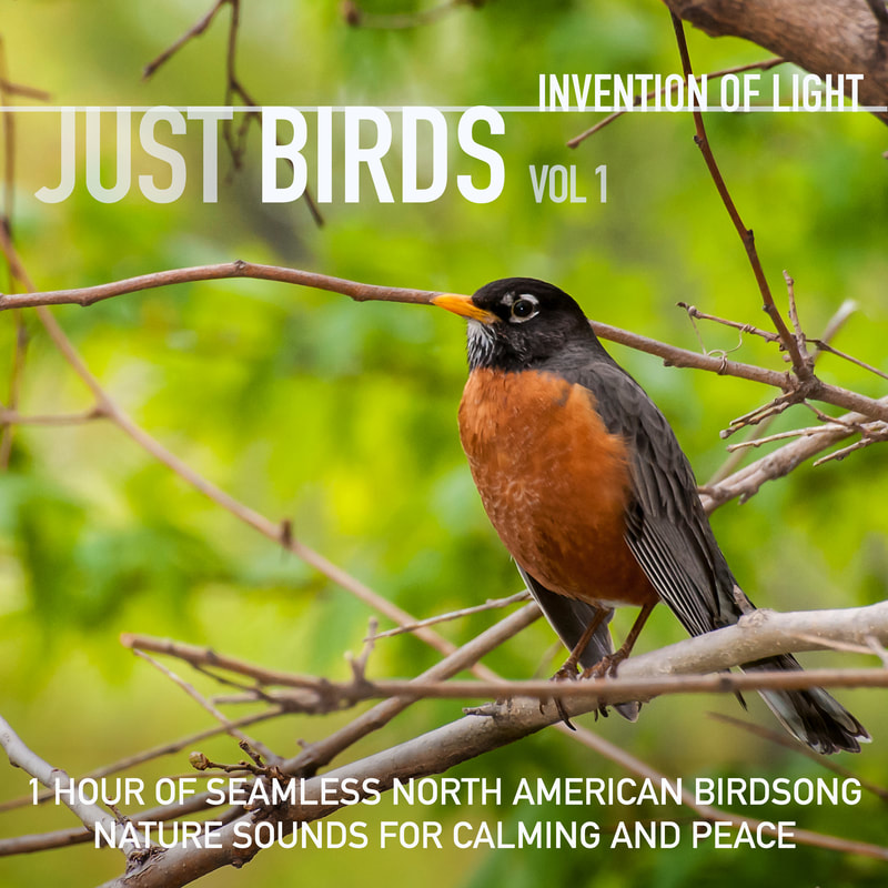 1 Hour of Seamless North American Birdsong for Calming and Peace