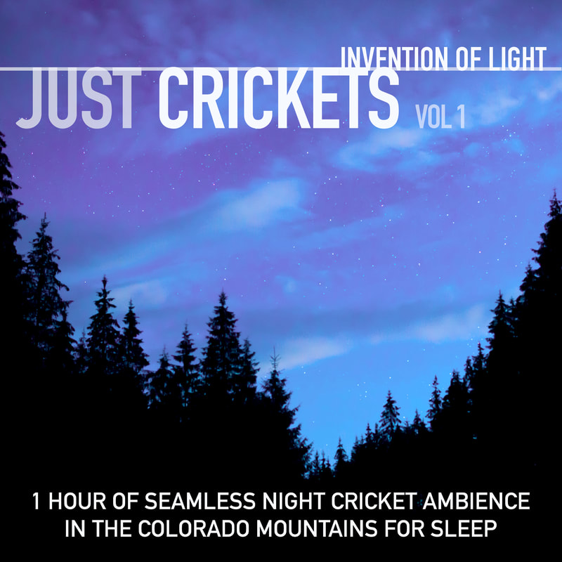 1 Hour of Seamless Night Cricket Ambience in the Colorado Mountains for Sleep