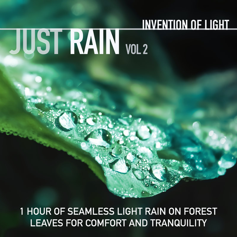 1 Hour of Seamless Light Rain on Forest Leaves for Comfort and Tranquility