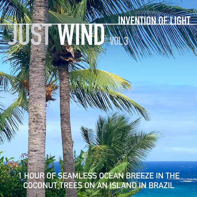 1 Hour of Seamless Ocean Breeze in the Coconut Trees on an Island in Brazil