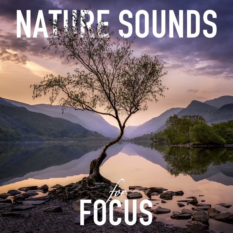 Beautiful nature sounds to create a sonic environment for focus, relaxation, mindfulness, and peace. Rivers, streams, ocean waves, waterfalls, bird calls, crickets, rain, wind, and all manner of soothing sounds from Mother Nature.
