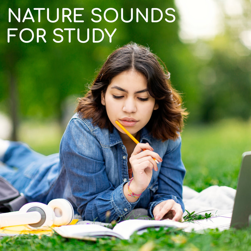 Dive into a world of natural serenity with this carefully curated playlist designed to enhance your focus during study sessions. Let babbling brooks, gentle raindrops, soothing birdsong, rustling leaves, and rolling waves create an ideal backdrop for deep concentration and effective learning.