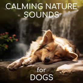 Calming Nature Sounds for Dogs. The natural sound of rivers, streams, ocean waves, waterfalls, and rain to keep dogs calm while you are away. Helpful for nervous dogs during fireworks and thunderstorms, too!
