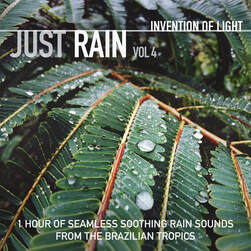 1 Hour of Seamless Soothing Rain Sounds from the Brazilian Tropics