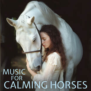 Music for Calming Horses: Studies have shown that not only do horses like music, but the right kind is soothing to them and can also block out startling noises keeping them calmer and more relaxed. Use this playlist of mellow instrumental ambient music to help your friend relax after a long day on the trail.