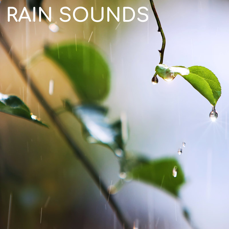 The sound of rain for relaxation, comfort, nostalgia, focus, sleep...or just to hide your tears. Whatever you need it for, it's here for you.