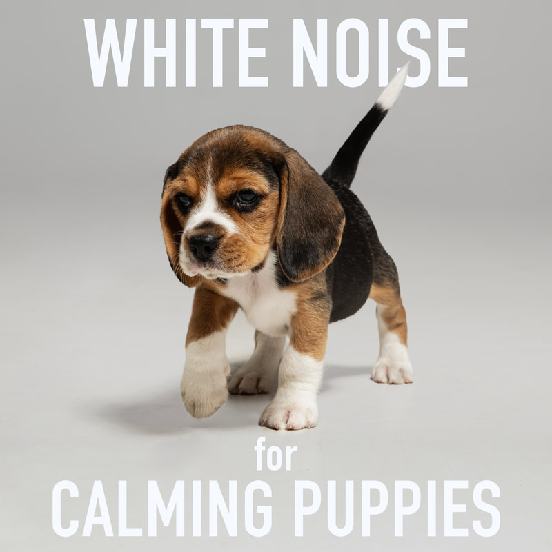 Help your puppy remain calm while you are away with the soothing sound of white noise to block out startling outside noises and create a cozy womb-like atmosphere that helps reduce anxiety.